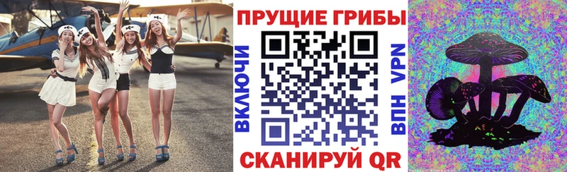Псилоцибиновые грибы Psilocybine cubensis  Лагань 